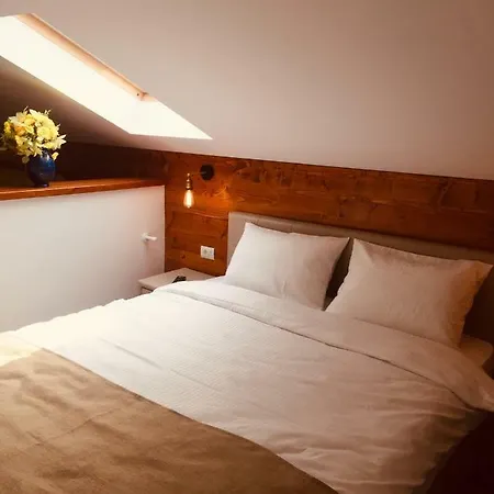 Casa Carmen 3* ドルナ・アリニ